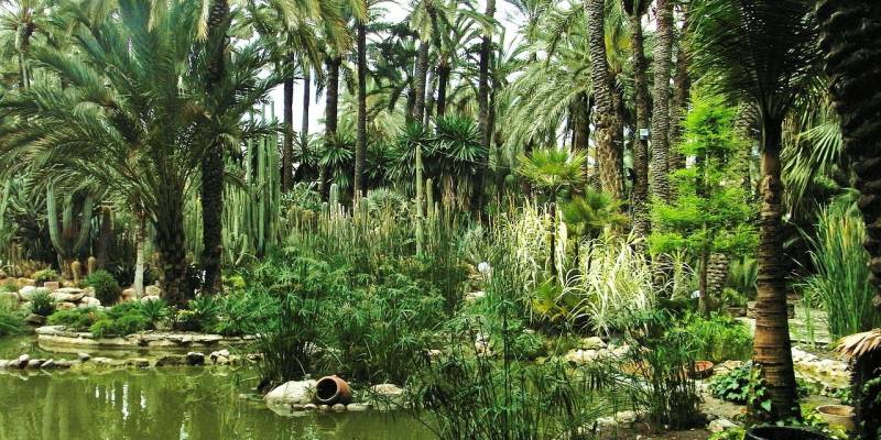 A very special organic garden.